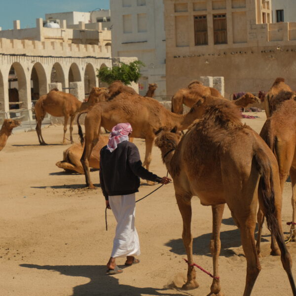 22 Photos That Will Inspire You to Travel to Qatar