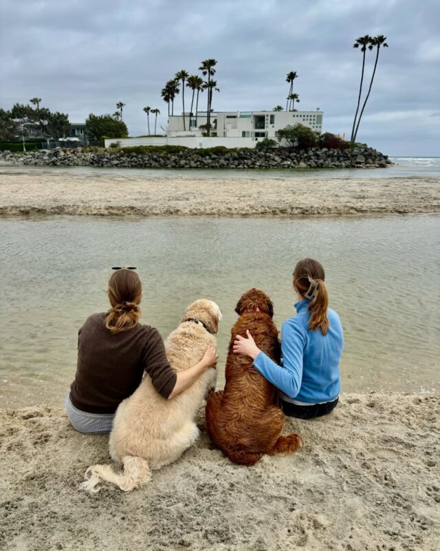 Beach day with our little sisters!! 

#beachday #dogbeaches #sisterforlife #foursisters #doggielove #bestfriendsforlife❤️ #delmarcalifornia #californiavibe